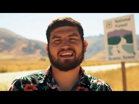 Michelob Ultra Pure Gold CEO (HIRE ME)