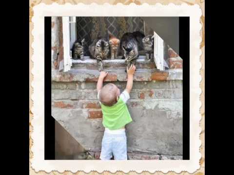 Wunderfinder  Alexa Feser (feat. Curse)