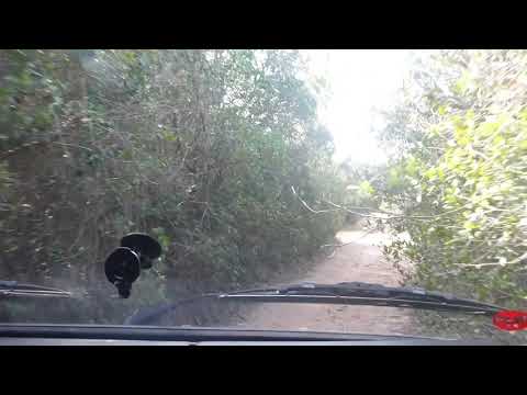 VW T3 in Korsika durch Gebüsch (outch)