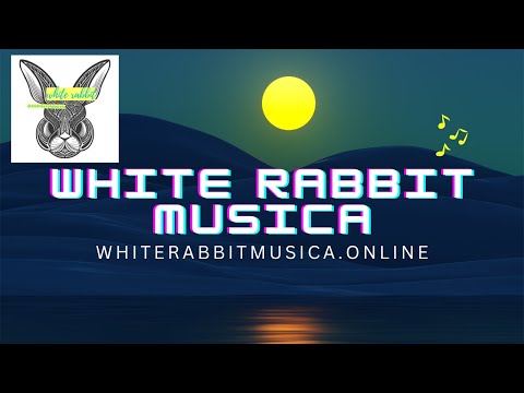 FREE   NO SLEEP  Freeze Corleone x ASHE22 x Central Cee Type Beat