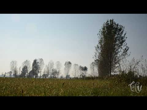 Montodine - ottobre 2021