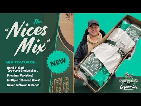 JFTV: Jet Fresh Growers' New "NICES MIX" Unboxing with Casey
