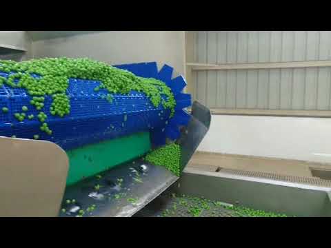 download lagu mp3 mp4 Frozen Vegetables Processing Plant, download lagu Frozen Vegetables Processing Plant gratis, unduh video klip Frozen Vegetables Processing Plant