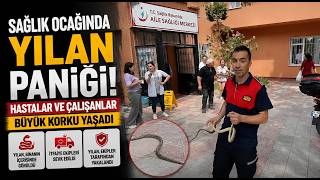 Sağlık Ocağında Yılan Paniği