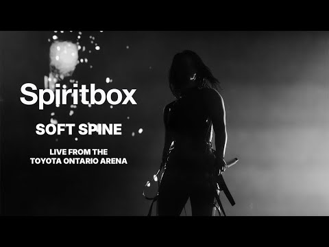 Spiritbox Official and 2 more