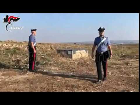 Operazione “Black Gold” (senza audio)