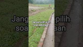 Download lagu #quotes #motivation #words of wisdom #advice #sermons #reflections #words of wisdom #religion #tr... mp3