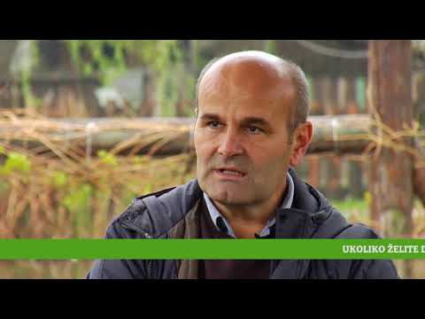 Reč struke ep. 131 23.11.2017. - Zdravstveni apekti ishrane ribom