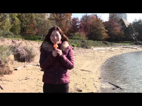 Rediscover Japan Series #5: Kagoshima