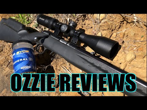 Ruger American Rimfire - Initial Impressions