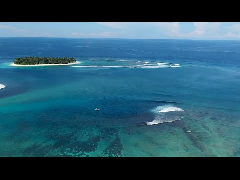 Surfing Out Front on a PERFECT Glassy Day | 4 Bobs, Mentawais