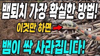 뱀퇴치 가장 확실한방법! 이것만 하면 뱀이 싹 사라져요! 천연 뱀퇴치제!
