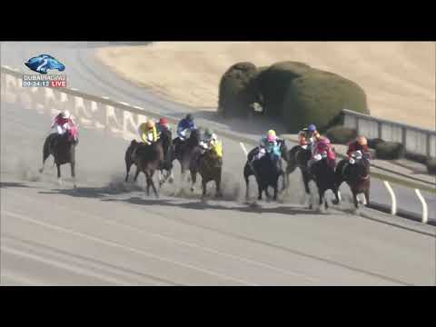 2019.02.17 Hyacinth Stakes (JPN) - Oval Ace