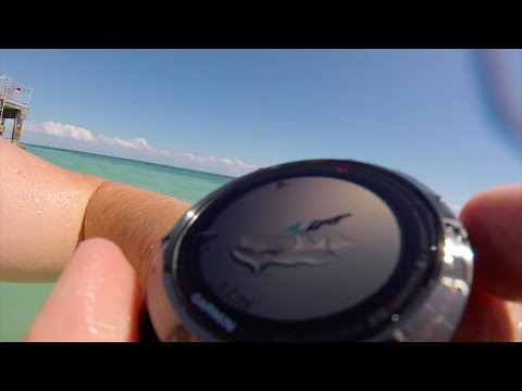 Garmin Fenix 5 Open Water Swim Key West Florida