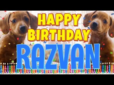 Happy Birthday Razvan! ( Funny Talking Dogs ) What Is Free On My Birthday