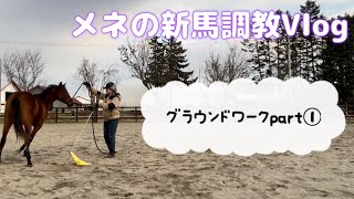 メネの新馬調教【Vlog】グラウンドワークpart①