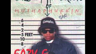 eazy e nutz on ya chin NR 6