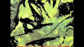 Cephalic Carnage - Regalos De Mota