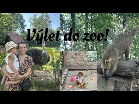 VLOG| Výlet do Zoo na Hrádečku