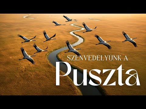 Our passion is the puszta: Why is the Hungarian puszta really special?