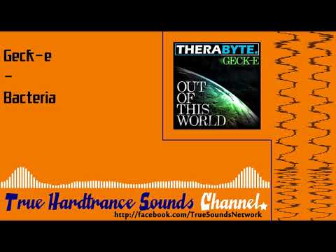 Geck-e - Bacteria