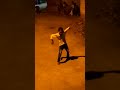 Super Star Dancer
