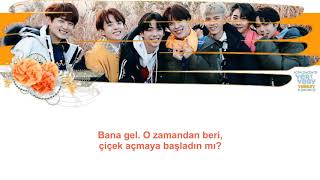 VERIVERY - Flower [Türkçe Alt Yazılı]