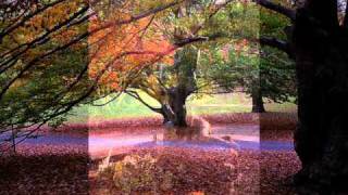 Charlie Byrd - / For Louis / -  Autumn in New York