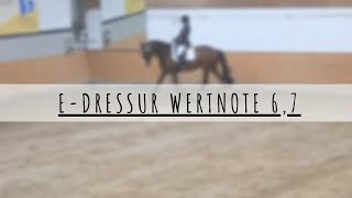 Video von Cavalino de moi