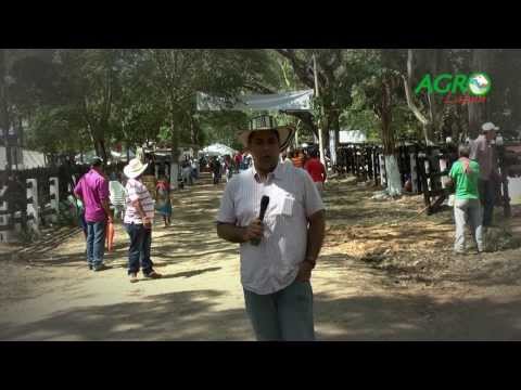 FERIAS GANADERAS