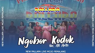 Download lagu Ngobor Kodok mp3
