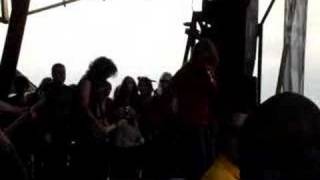 the almost "i mostly copy other people"