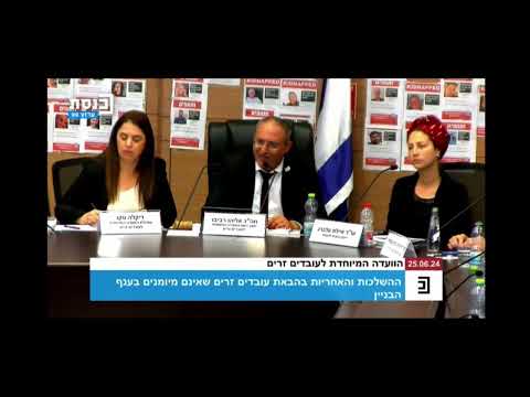 השתתפות מנכ"ל ובעלים קבוצת DHM דניאל חנן משה בועדת הזרים בכנסת