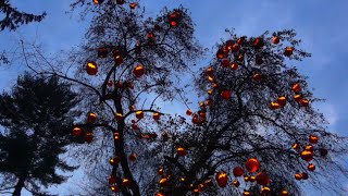 'An All Senses Experience': We Step Inside the Great Jack O'Lantern Blaze of 2015