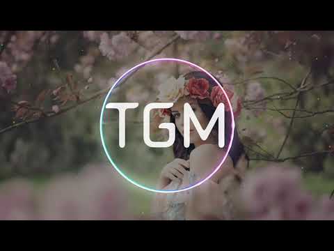 Taoufik (TGM) - Late Night Love ( New song , Chill Music )