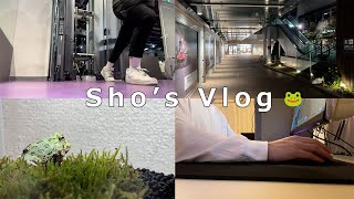 【vlog】社会人のリアルな過ごし方　自己紹介　#vlog #社会人 #lifestyle