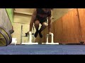 L-Sit to Tuck Planche + Psuedo Planche Push-ups