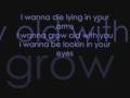 DJ Limmer - I wanna grow old with you [[with ...