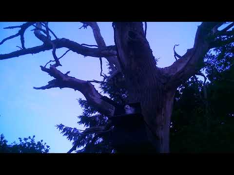 First views of the world outside