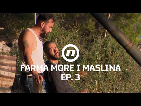 Zanemarivanje životinja? - Epizoda 3 | Farma More i Maslina