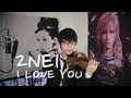 2NE1 - I Love You - Jun Sung Ahn Violin Cover ...