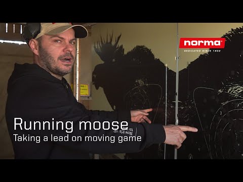 Running Moose: Why taking a lead is crucial for your shooting