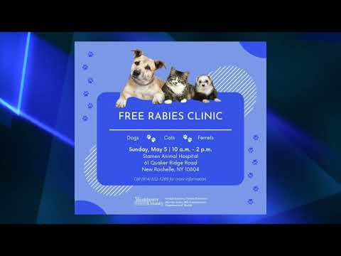 Westchester County Rabies Clinic