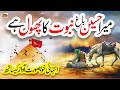 Mera Hussain Lyrics Urdu Usman Qadri Naat Naat Sharif I Love Islam