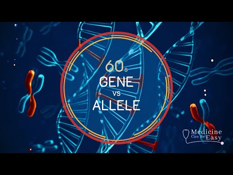 Genetics in 60 seconds: Gene vs Allele