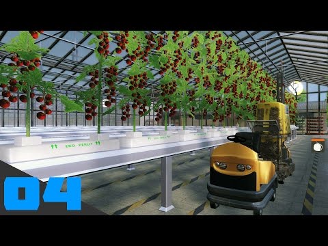 Farm Expert 2017 E4 | Piantiamo i primi pomodori