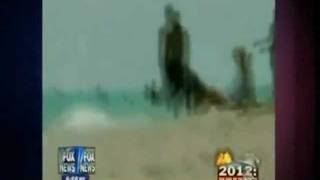 Rudimentary Peni - Media Person