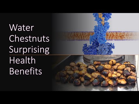 Water Chestnuts: The Superfood You’re Overlooking!