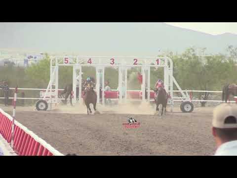 EL CARNICERO VS LA BARBARITA  250 YDS