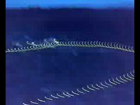 Sanctuary Festival 2008 CRAZY RIDE